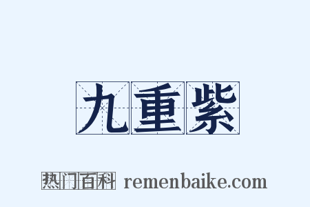 九重紫是什么意思的图片
